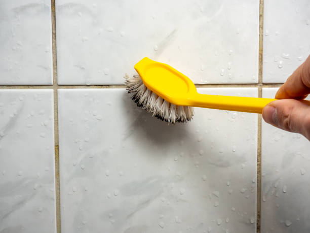 Best Post-Flood Mold Remediation in Whitewright, TX