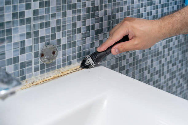 Best Emergency Mold Remediation in Whitewright, TX